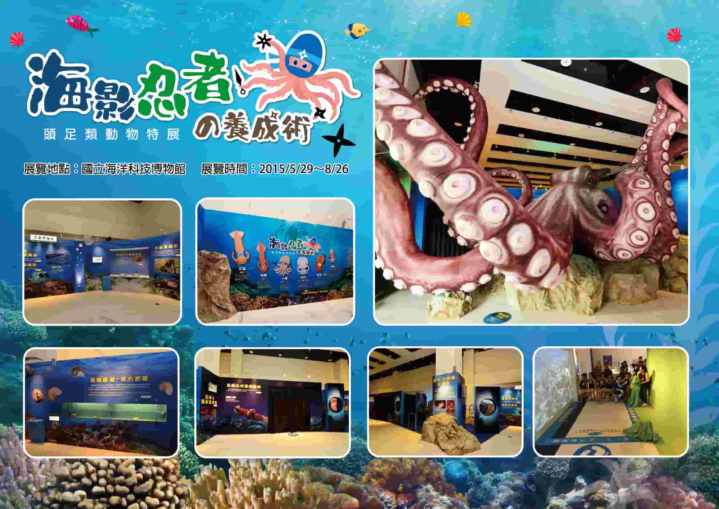 海影忍者的養成術 